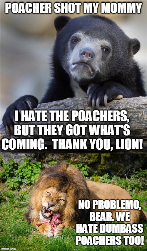 IF YOU HATE POACHERS, UPVOTE THIS MEME - ANIMALS DO REALLY HELP EACH OTHER LIKE THIS! | POACHER SHOT MY MOMMY; I HATE THE POACHERS, BUT THEY GOT WHAT'S COMING.  THANK YOU, LION! NO PROBLEMO, BEAR. WE HATE DUMBASS POACHERS TOO! | image tagged in memes,confession bear,lion,bear,mother earth | made w/ Imgflip meme maker