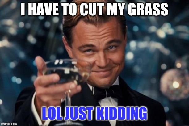 Leonardo Dicaprio Cheers Meme | I HAVE TO CUT MY GRASS; LOL JUST KIDDING | image tagged in memes,leonardo dicaprio cheers | made w/ Imgflip meme maker
