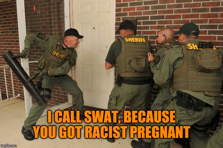 Swat Batter | I CALL SWAT, BECAUSE YOU GOT RACIST PREGNANT | image tagged in swat batter | made w/ Imgflip meme maker