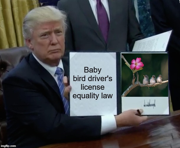 Trump Bill Signing Meme | Baby bird driver's license equality law | image tagged in memes,trump bill signing | made w/ Imgflip meme maker