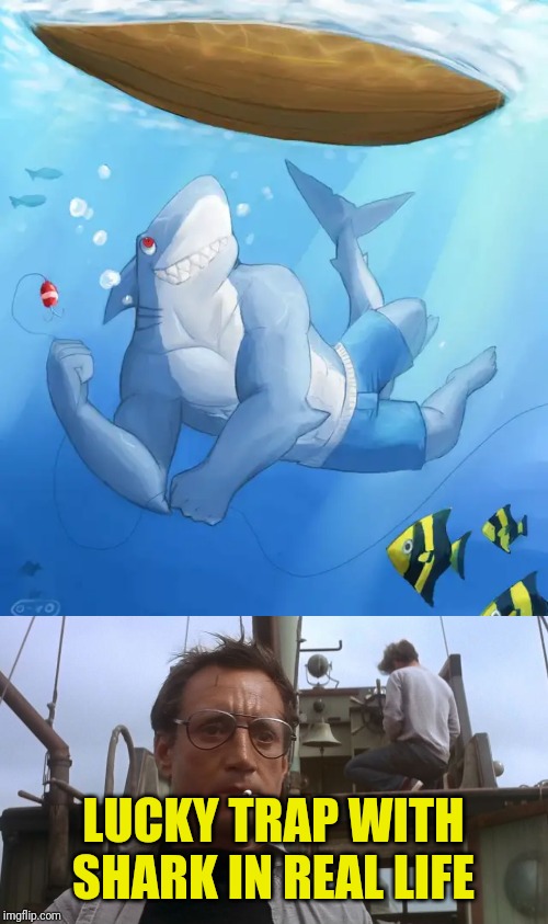 Wow! Shark can trap you in real life!!! | LUCKY TRAP WITH SHARK IN REAL LIFE | image tagged in going to need a bigger boat,wtf,shark,funny,boat,nixieknox | made w/ Imgflip meme maker
