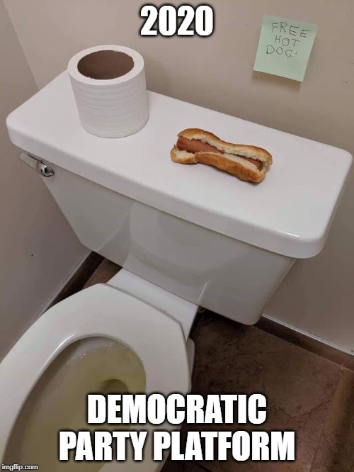 2020 Democrats Party Platform | 2020; DEMOCRATIC PARTY PLATFORM | image tagged in dems,dnc,libs,socialists,democrats | made w/ Imgflip meme maker