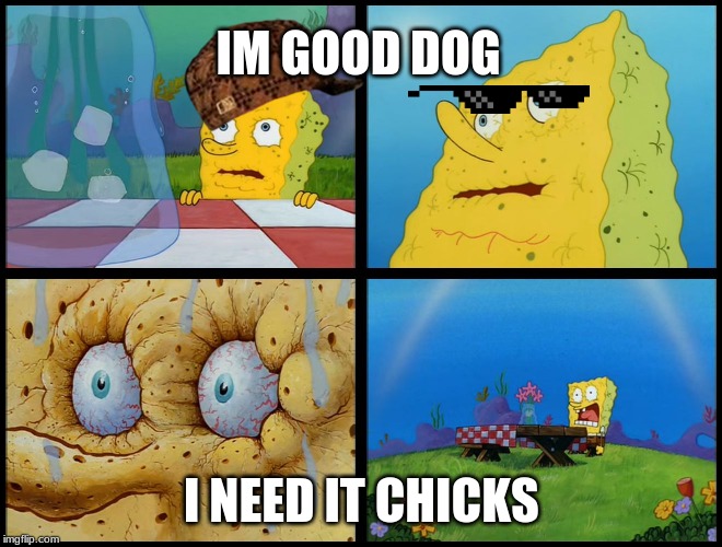 Spongebob - "I Don't Need It" (by Henry-C) | IM GOOD DOG; I NEED IT CHICKS | image tagged in spongebob - i don't need it by henry-c | made w/ Imgflip meme maker