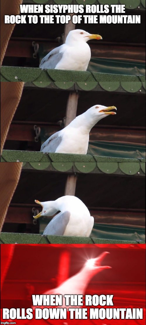 Inhaling Seagull Meme | WHEN SISYPHUS ROLLS THE ROCK TO THE TOP OF THE MOUNTAIN; WHEN THE ROCK ROLLS DOWN THE MOUNTAIN | image tagged in memes,inhaling seagull | made w/ Imgflip meme maker