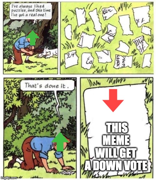 puzzel | THIS MEME WILL GET A DOWN VOTE | image tagged in puzzel | made w/ Imgflip meme maker
