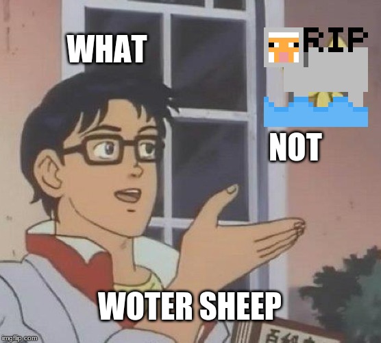 Is This A Pigeon Meme | WHAT; NOT; WOTER SHEEP | image tagged in memes,is this a pigeon | made w/ Imgflip meme maker