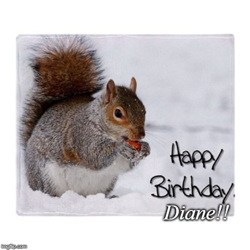Happy Birthday | Diane!! | image tagged in happy birthday | made w/ Imgflip meme maker