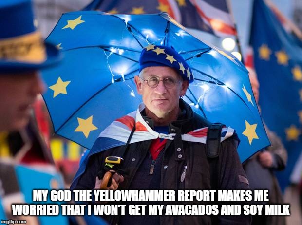 Remainer | MY GOD THE YELLOWHAMMER REPORT MAKES ME WORRIED THAT I WON'T GET MY AVACADOS AND SOY MILK | image tagged in remainer | made w/ Imgflip meme maker