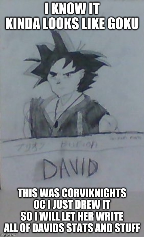 I KNOW IT KINDA LOOKS LIKE GOKU; THIS WAS CORVIKNIGHTS OC I JUST DREW IT
SO I WILL LET HER WRITE ALL OF DAVIDS STATS AND STUFF | made w/ Imgflip meme maker