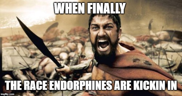 Sparta Leonidas | WHEN FINALLY; THE RACE ENDORPHINES ARE KICKIN IN | image tagged in memes,sparta leonidas | made w/ Imgflip meme maker