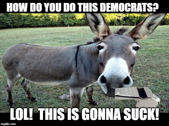 HOW DO YOU DO THIS DEMOCRATS? LOL!  THIS IS GONNA SUCK! | made w/ Imgflip meme maker