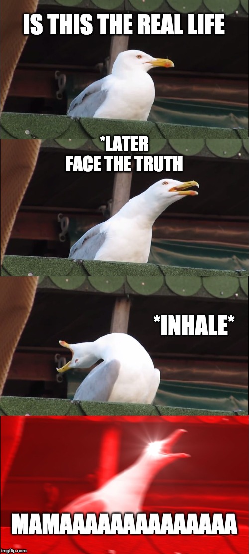 Inhaling Seagull | IS THIS THE REAL LIFE; *LATER
FACE THE TRUTH; *INHALE*; MAMAAAAAAAAAAAAAA | image tagged in memes,inhaling seagull | made w/ Imgflip meme maker