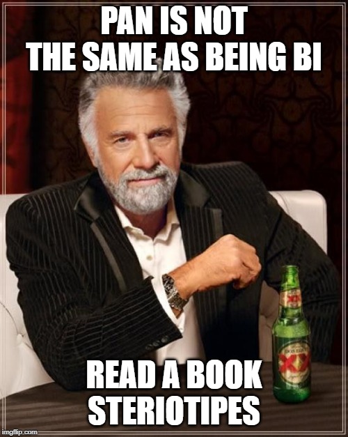 The Most Interesting Man In The World | PAN IS NOT THE SAME AS BEING BI; READ A BOOK STERIOTIPES | image tagged in memes,the most interesting man in the world | made w/ Imgflip meme maker