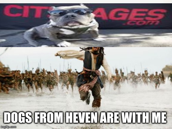 Jack Sparrow Being Chased Meme | DOGS FROM HEVEN ARE WITH ME | image tagged in memes,jack sparrow being chased | made w/ Imgflip meme maker