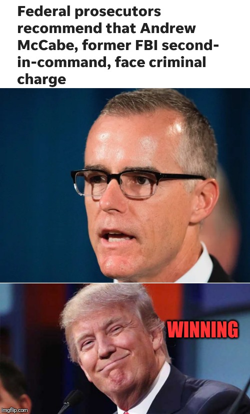 Drain the Swamp! | WINNING | image tagged in trump smiling,trump,maga,mccabe,fbi | made w/ Imgflip meme maker