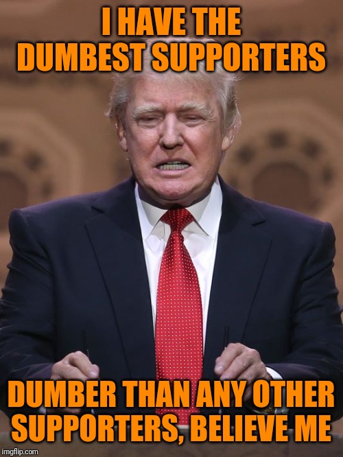 Donald Trump | I HAVE THE DUMBEST SUPPORTERS DUMBER THAN ANY OTHER SUPPORTERS, BELIEVE ME | image tagged in donald trump | made w/ Imgflip meme maker