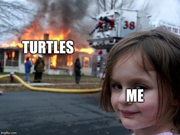Disaster Girl Meme | TURTLES; ME | image tagged in memes,disaster girl | made w/ Imgflip meme maker