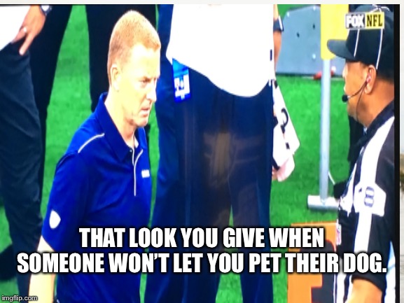 Look You Give | THAT LOOK YOU GIVE WHEN SOMEONE WON’T LET YOU PET THEIR DOG. | image tagged in dog,dallas cowboys,look | made w/ Imgflip meme maker