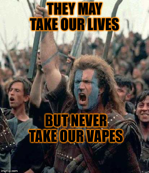 Braveheart | THEY MAY TAKE OUR LIVES; BUT NEVER TAKE OUR VAPES | image tagged in braveheart | made w/ Imgflip meme maker