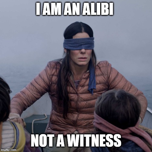 Bird Box Meme | I AM AN ALIBI; NOT A WITNESS | image tagged in memes,bird box | made w/ Imgflip meme maker