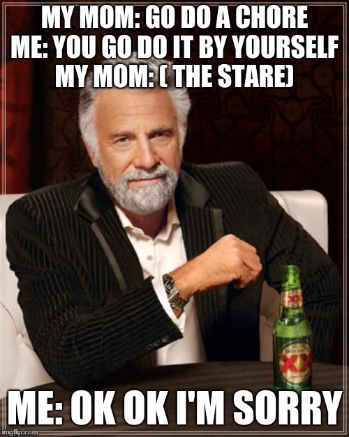 The Most Interesting Man In The World Meme | MY MOM: GO DO A CHORE
ME: YOU GO DO IT BY YOURSELF
MY MOM: ( THE STARE); ME: OK OK I'M SORRY | image tagged in memes,the most interesting man in the world | made w/ Imgflip meme maker