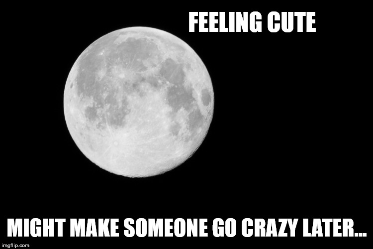 Feelin cute Full Moon | FEELING CUTE; MIGHT MAKE SOMEONE GO CRAZY LATER... | image tagged in moon | made w/ Imgflip meme maker