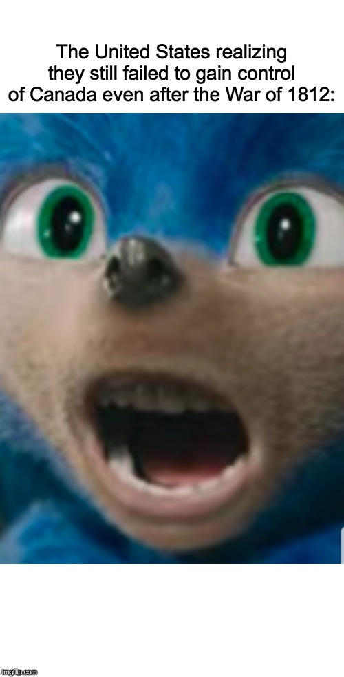 Sonic the Hedgehog | The United States realizing they still failed to gain control of Canada even after the War of 1812: | image tagged in sonic the hedgehog | made w/ Imgflip meme maker