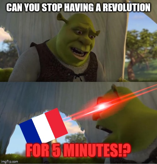 Shrek For Five Minutes | CAN YOU STOP HAVING A REVOLUTION; FOR 5 MINUTES!? | image tagged in shrek for five minutes | made w/ Imgflip meme maker