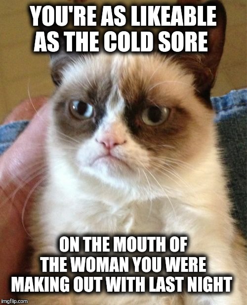 Grumpy Cat Meme | YOU'RE AS LIKEABLE AS THE COLD SORE; ON THE MOUTH OF THE WOMAN YOU WERE MAKING OUT WITH LAST NIGHT | image tagged in memes,grumpy cat | made w/ Imgflip meme maker