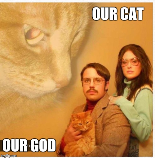 CATS ARE GODS | OUR CAT; OUR GOD | image tagged in cats,gods | made w/ Imgflip meme maker