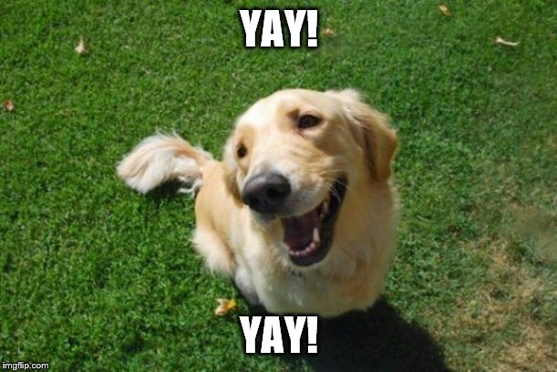 Happy Dog | YAY! YAY! | image tagged in happy dog | made w/ Imgflip meme maker