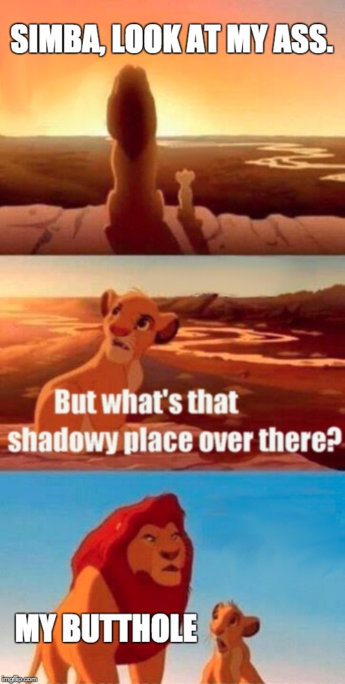 Simba Shadowy Place | SIMBA, LOOK AT MY ASS. MY BUTTHOLE | image tagged in memes,simba shadowy place | made w/ Imgflip meme maker