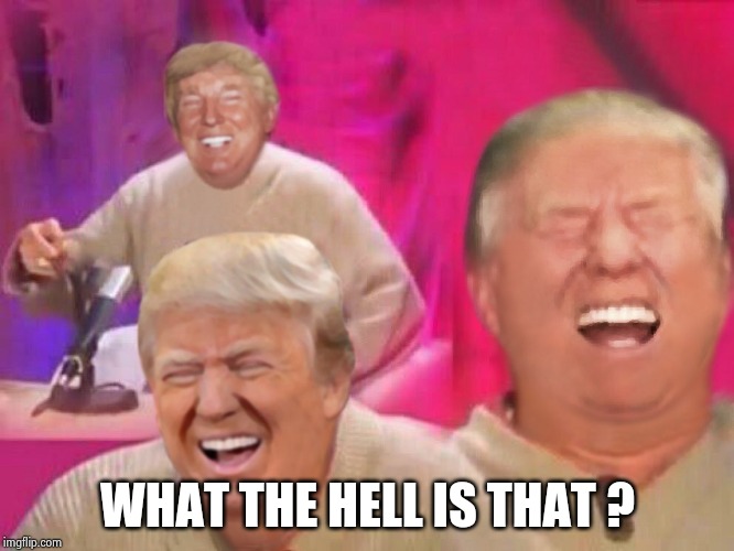 Laughing Trump | WHAT THE HELL IS THAT ? | image tagged in laughing trump | made w/ Imgflip meme maker