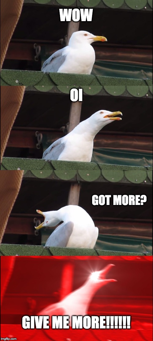 WOW OI GOT MORE? GIVE ME MORE!!!!!! | image tagged in memes,inhaling seagull | made w/ Imgflip meme maker