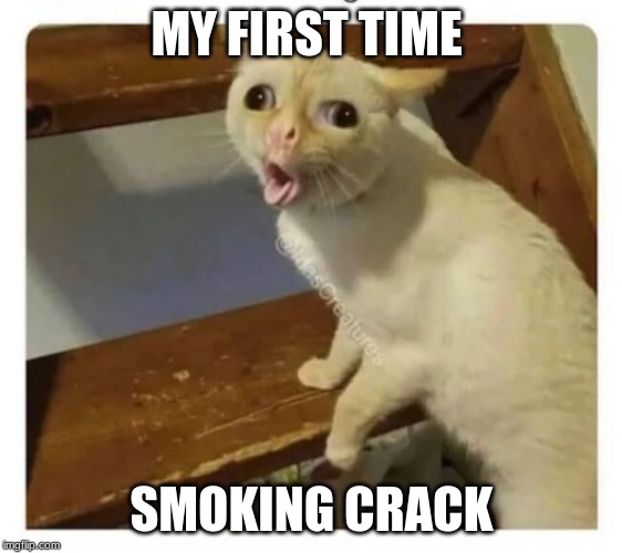 Coughing Cat | MY FIRST TIME; SMOKING CRACK | image tagged in coughing cat | made w/ Imgflip meme maker