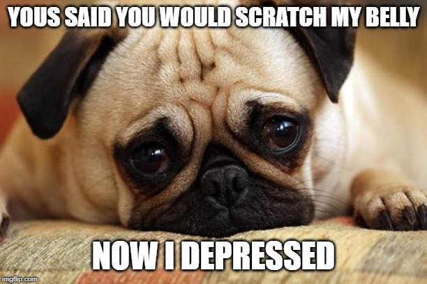 sad pug | YOUS SAID YOU WOULD SCRATCH MY BELLY; NOW I DEPRESSED | image tagged in sad pug | made w/ Imgflip meme maker