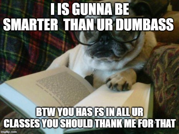 pug reading | I IS GUNNA BE SMARTER  THAN UR DUMBASS; BTW YOU HAS FS IN ALL UR CLASSES YOU SHOULD THANK ME FOR THAT | image tagged in pug reading | made w/ Imgflip meme maker