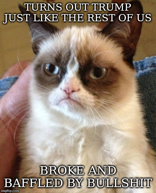 Grumpy Cat Meme | TURNS OUT TRUMP JUST LIKE THE REST OF US BROKE AND BAFFLED BY BULLSHIT | image tagged in memes,grumpy cat | made w/ Imgflip meme maker