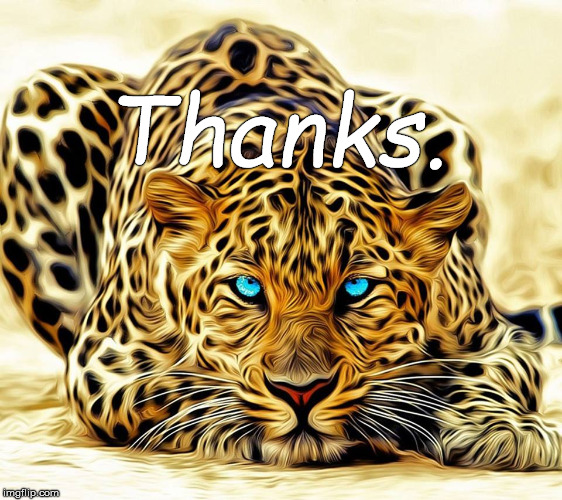 big cat | Thanks. | image tagged in big cat | made w/ Imgflip meme maker