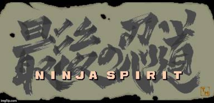 Ninja Spirit | image tagged in ninja spirit | made w/ Imgflip meme maker