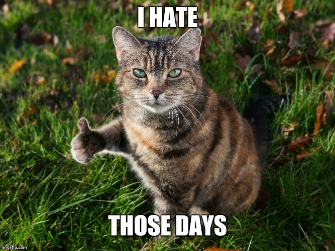 THUMBS UP CAT | I HATE THOSE DAYS | image tagged in thumbs up cat | made w/ Imgflip meme maker