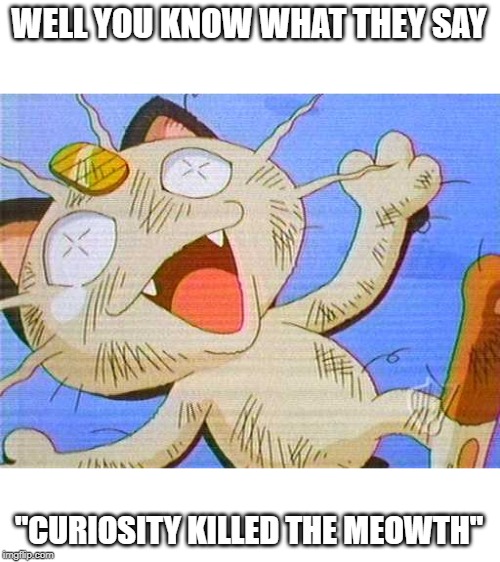 Meowth | WELL YOU KNOW WHAT THEY SAY; "CURIOSITY KILLED THE MEOWTH" | image tagged in meow,cat,pokemon,knockout | made w/ Imgflip meme maker