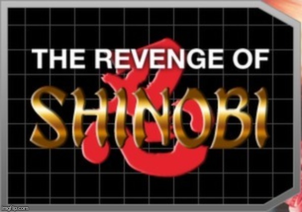 The Revenge of Shinobi | image tagged in the revenge of shinobi | made w/ Imgflip meme maker