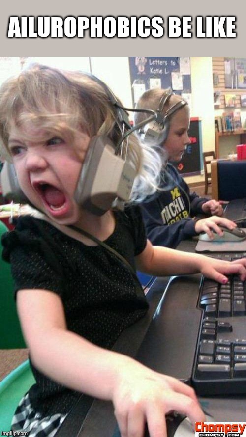 Angry Gamer Girl | AILUROPHOBICS BE LIKE | image tagged in screaming gamer girl | made w/ Imgflip meme maker