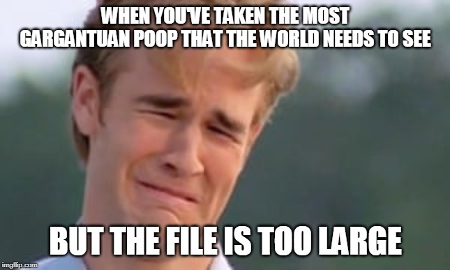 WHEN YOU'VE TAKEN THE MOST GARGANTUAN POOP THAT THE WORLD NEEDS TO SEE; BUT THE FILE IS TOO LARGE | image tagged in poop,file,size,pointless | made w/ Imgflip meme maker