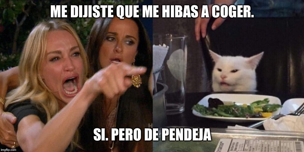 Woman yelling at cat | ME DIJISTE QUE ME HIBAS A COGER. SI. PERO DE PENDEJA | image tagged in woman yelling at cat | made w/ Imgflip meme maker