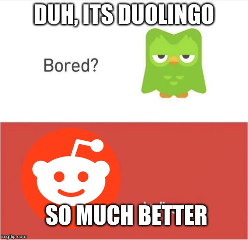 DUOLINGO BORED | DUH, ITS DUOLINGO; SO MUCH BETTER | image tagged in duolingo bored | made w/ Imgflip meme maker