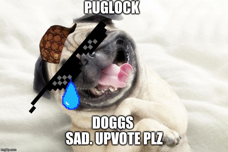 Happy Dog | PUGLOCK; DOGGS 
SAD. UPVOTE PLZ | image tagged in happy dog | made w/ Imgflip meme maker