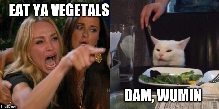 yellsatcat | EAT YA VEGETALS; DAM, WUMIN | image tagged in yellsatcat | made w/ Imgflip meme maker