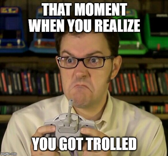 Angry Video Game Nerd | THAT MOMENT WHEN YOU REALIZE; YOU GOT TROLLED | image tagged in angry video game nerd,memes | made w/ Imgflip meme maker